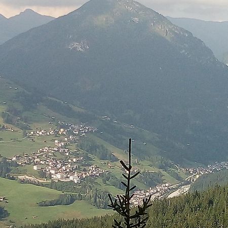 B&B Il Tulipano Сан Пиетро ди Кадоре Екстериор снимка