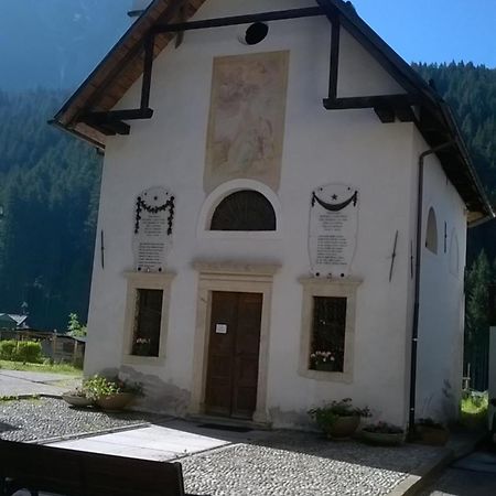 B&B Il Tulipano Сан Пиетро ди Кадоре Екстериор снимка