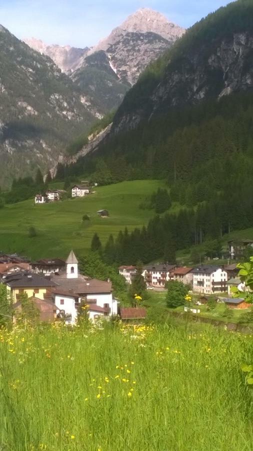 B&B Il Tulipano Сан Пиетро ди Кадоре Екстериор снимка